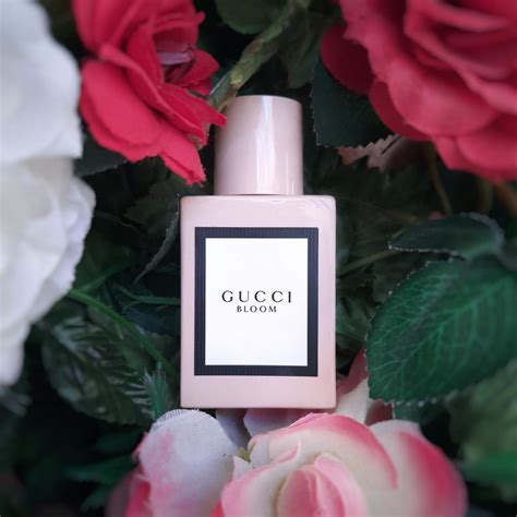 gucci plum perfume|Gucci bloom 2017.